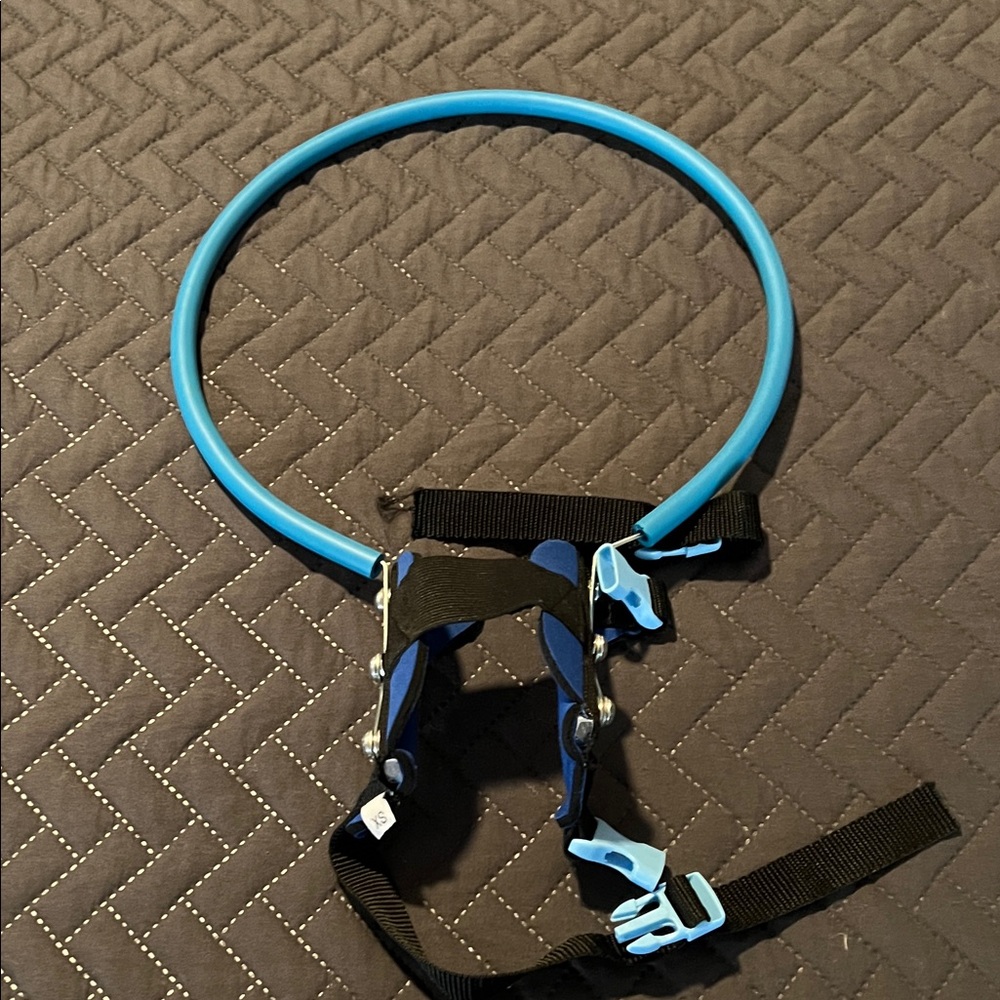 Blue and Black Blind Dog Halo